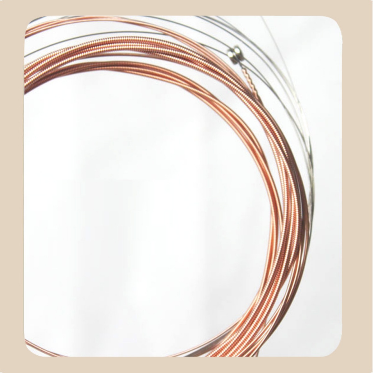 Miwayer 1/2 Set/6 String Acous - Diy Guitar Electronics 리뷰 및 가격