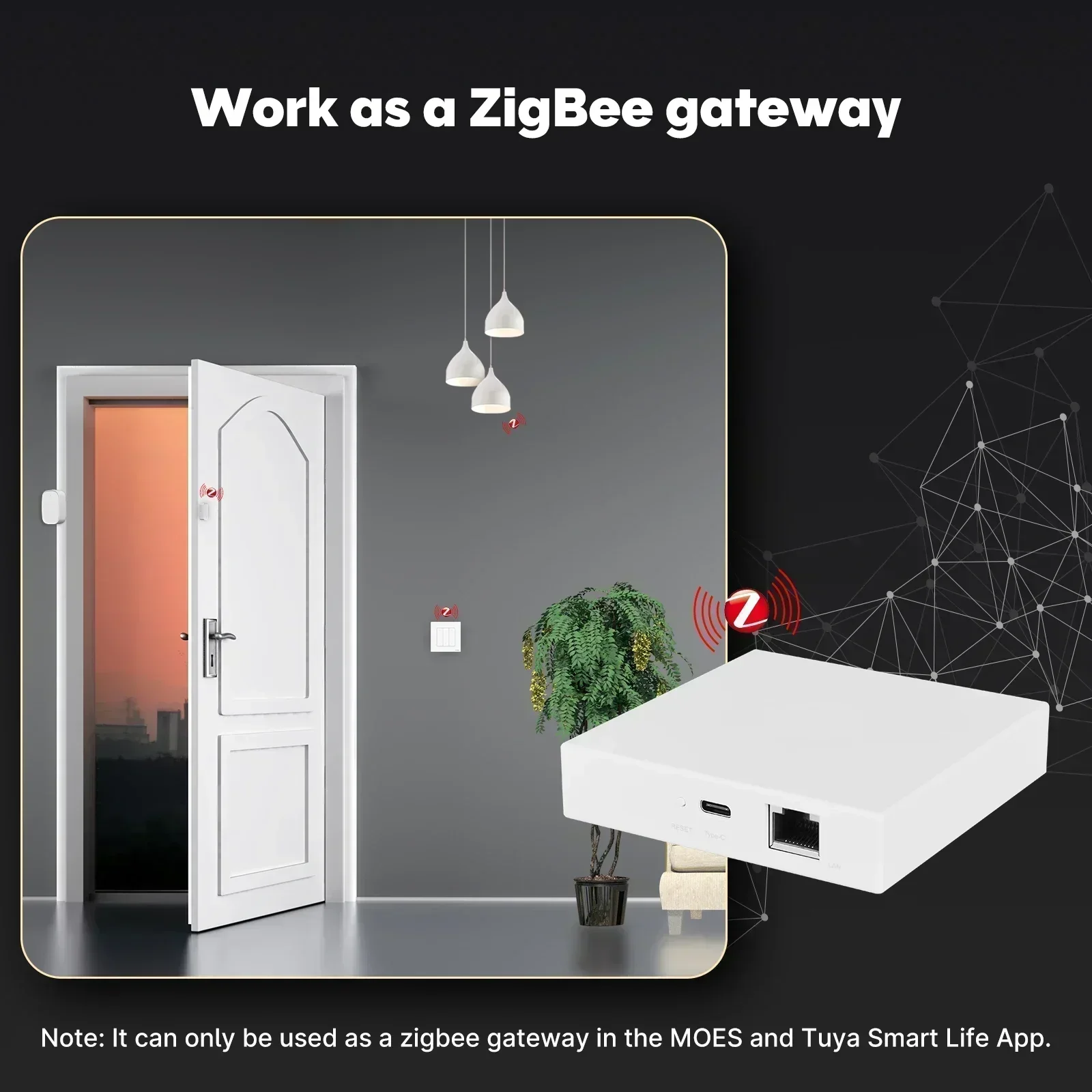 MOES Tuya Zigbee Matter Thread - Diy Home Electronics 리뷰 및 가격