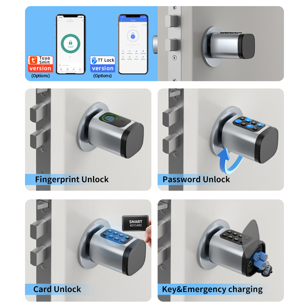 RAYKUBE V1 Tuya BLE TT Lock Sm - Diy Home Electronics 리뷰 및 가격