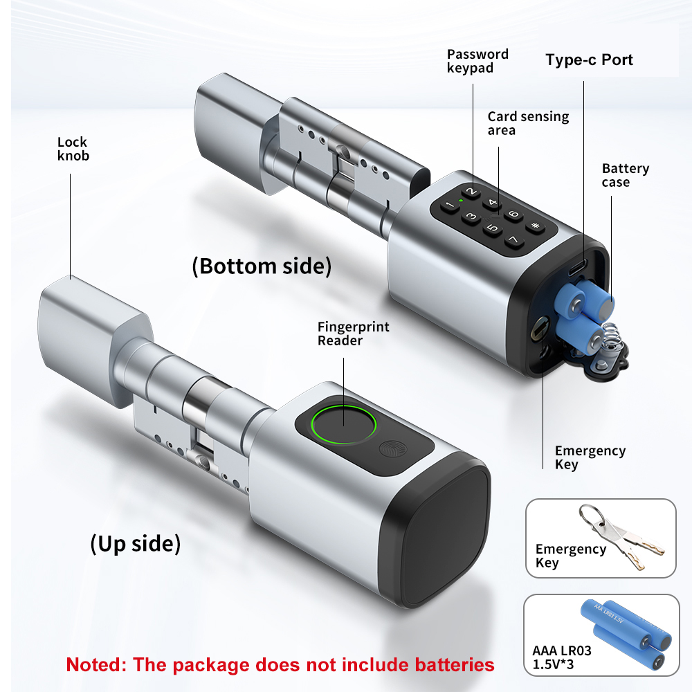 RAYKUBE V1 Tuya BLE TT Lock Sm - Diy Home Electronics 리뷰 및 가격